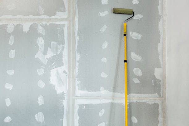 Best Indoor Air Quality Assessment  in Palm Valley, TX