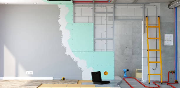 Best Black Mold Removal  in Palm Valley, TX