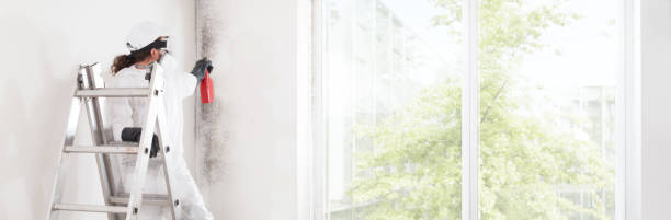 Best Real Estate Mold Inspection  in Palm Valley, TX