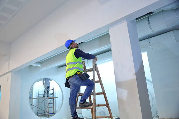 Mold Documentation for Insurance Claims in Palm Valley, TX